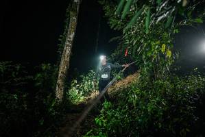 BIB: 
                            <button type="button" onclick="openModal(26373780)" class="btn btn-primary btn-sm float-right btn-popup" data-toggle="modal" data-target=".modal-high-quality">
                        <i class="fas fa-shopping-cart"></i> Add to Cart
                    </button>
                                            <button type="button" onclick="isThisMe(26373780, true)" class="btn btn-success btn-sm float-right btn-popup btn-isme hidden" data-toggle="tooltip" data-placement="bottom" title="นี่คือรูปของคุณใช่ไหม คลิกที่นี่เพื่อเอาเข้าอัลบั้ม">
                        <i class="fas fa-plus"></i> Add to album
                    </button>
                    <button type="button" onclick="isThisMe(26373780, false)" class="btn btn-warning btn-sm float-right btn-popup btn-isnotme hidden">
                        <i class="fas fa-ban"></i> Remove from album
                    </button>