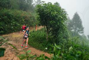 BIB: 
                            <button type="button" onclick="openModal(26383271)" class="btn btn-primary btn-sm float-right btn-popup" data-toggle="modal" data-target=".modal-high-quality">
                        <i class="fas fa-shopping-cart"></i> Add to Cart
                    </button>
                                            <button type="button" onclick="isThisMe(26383271, true)" class="btn btn-success btn-sm float-right btn-popup btn-isme hidden" data-toggle="tooltip" data-placement="bottom" title="นี่คือรูปของคุณใช่ไหม คลิกที่นี่เพื่อเอาเข้าอัลบั้ม">
                        <i class="fas fa-plus"></i> Add to album
                    </button>
                    <button type="button" onclick="isThisMe(26383271, false)" class="btn btn-warning btn-sm float-right btn-popup btn-isnotme hidden">
                        <i class="fas fa-ban"></i> Remove from album
                    </button>