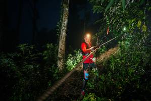 BIB: 
                            <button type="button" onclick="openModal(26374901)" class="btn btn-primary btn-sm float-right btn-popup" data-toggle="modal" data-target=".modal-high-quality">
                        <i class="fas fa-shopping-cart"></i> Add to Cart
                    </button>
                                            <button type="button" onclick="isThisMe(26374901, true)" class="btn btn-success btn-sm float-right btn-popup btn-isme hidden" data-toggle="tooltip" data-placement="bottom" title="นี่คือรูปของคุณใช่ไหม คลิกที่นี่เพื่อเอาเข้าอัลบั้ม">
                        <i class="fas fa-plus"></i> Add to album
                    </button>
                    <button type="button" onclick="isThisMe(26374901, false)" class="btn btn-warning btn-sm float-right btn-popup btn-isnotme hidden">
                        <i class="fas fa-ban"></i> Remove from album
                    </button>