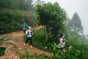 BIB: 
                            <button type="button" onclick="openModal(26383646)" class="btn btn-primary btn-sm float-right btn-popup" data-toggle="modal" data-target=".modal-high-quality">
                        <i class="fas fa-shopping-cart"></i> Add to Cart
                    </button>
                                            <button type="button" onclick="isThisMe(26383646, true)" class="btn btn-success btn-sm float-right btn-popup btn-isme hidden" data-toggle="tooltip" data-placement="bottom" title="นี่คือรูปของคุณใช่ไหม คลิกที่นี่เพื่อเอาเข้าอัลบั้ม">
                        <i class="fas fa-plus"></i> Add to album
                    </button>
                    <button type="button" onclick="isThisMe(26383646, false)" class="btn btn-warning btn-sm float-right btn-popup btn-isnotme hidden">
                        <i class="fas fa-ban"></i> Remove from album
                    </button>