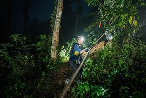 BIB: 
                            <button type="button" onclick="openModal(26375113)" class="btn btn-primary btn-sm float-right btn-popup" data-toggle="modal" data-target=".modal-high-quality">
                        <i class="fas fa-shopping-cart"></i> Add to Cart
                    </button>
                                            <button type="button" onclick="isThisMe(26375113, true)" class="btn btn-success btn-sm float-right btn-popup btn-isme hidden" data-toggle="tooltip" data-placement="bottom" title="นี่คือรูปของคุณใช่ไหม คลิกที่นี่เพื่อเอาเข้าอัลบั้ม">
                        <i class="fas fa-plus"></i> Add to album
                    </button>
                    <button type="button" onclick="isThisMe(26375113, false)" class="btn btn-warning btn-sm float-right btn-popup btn-isnotme hidden">
                        <i class="fas fa-ban"></i> Remove from album
                    </button>