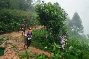 BIB: 
                            <button type="button" onclick="openModal(26382533)" class="btn btn-primary btn-sm float-right btn-popup" data-toggle="modal" data-target=".modal-high-quality">
                        <i class="fas fa-shopping-cart"></i> Add to Cart
                    </button>
                                            <button type="button" onclick="isThisMe(26382533, true)" class="btn btn-success btn-sm float-right btn-popup btn-isme hidden" data-toggle="tooltip" data-placement="bottom" title="นี่คือรูปของคุณใช่ไหม คลิกที่นี่เพื่อเอาเข้าอัลบั้ม">
                        <i class="fas fa-plus"></i> Add to album
                    </button>
                    <button type="button" onclick="isThisMe(26382533, false)" class="btn btn-warning btn-sm float-right btn-popup btn-isnotme hidden">
                        <i class="fas fa-ban"></i> Remove from album
                    </button>