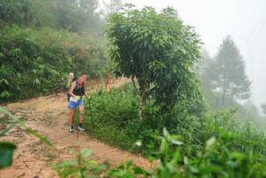 BIB: 
                            <button type="button" onclick="openModal(26384754)" class="btn btn-primary btn-sm float-right btn-popup" data-toggle="modal" data-target=".modal-high-quality">
                        <i class="fas fa-shopping-cart"></i> Add to Cart
                    </button>
                                            <button type="button" onclick="isThisMe(26384754, true)" class="btn btn-success btn-sm float-right btn-popup btn-isme hidden" data-toggle="tooltip" data-placement="bottom" title="นี่คือรูปของคุณใช่ไหม คลิกที่นี่เพื่อเอาเข้าอัลบั้ม">
                        <i class="fas fa-plus"></i> Add to album
                    </button>
                    <button type="button" onclick="isThisMe(26384754, false)" class="btn btn-warning btn-sm float-right btn-popup btn-isnotme hidden">
                        <i class="fas fa-ban"></i> Remove from album
                    </button>