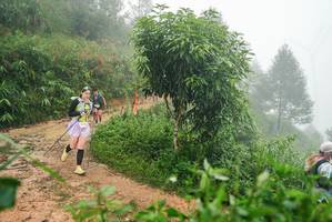 BIB: 
                            <button type="button" onclick="openModal(26384694)" class="btn btn-primary btn-sm float-right btn-popup" data-toggle="modal" data-target=".modal-high-quality">
                        <i class="fas fa-shopping-cart"></i> Add to Cart
                    </button>
                                            <button type="button" onclick="isThisMe(26384694, true)" class="btn btn-success btn-sm float-right btn-popup btn-isme hidden" data-toggle="tooltip" data-placement="bottom" title="นี่คือรูปของคุณใช่ไหม คลิกที่นี่เพื่อเอาเข้าอัลบั้ม">
                        <i class="fas fa-plus"></i> Add to album
                    </button>
                    <button type="button" onclick="isThisMe(26384694, false)" class="btn btn-warning btn-sm float-right btn-popup btn-isnotme hidden">
                        <i class="fas fa-ban"></i> Remove from album
                    </button>