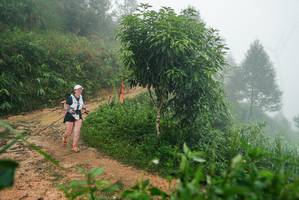 BIB: 
                            <button type="button" onclick="openModal(26384062)" class="btn btn-primary btn-sm float-right btn-popup" data-toggle="modal" data-target=".modal-high-quality">
                        <i class="fas fa-shopping-cart"></i> Add to Cart
                    </button>
                                            <button type="button" onclick="isThisMe(26384062, true)" class="btn btn-success btn-sm float-right btn-popup btn-isme hidden" data-toggle="tooltip" data-placement="bottom" title="นี่คือรูปของคุณใช่ไหม คลิกที่นี่เพื่อเอาเข้าอัลบั้ม">
                        <i class="fas fa-plus"></i> Add to album
                    </button>
                    <button type="button" onclick="isThisMe(26384062, false)" class="btn btn-warning btn-sm float-right btn-popup btn-isnotme hidden">
                        <i class="fas fa-ban"></i> Remove from album
                    </button>