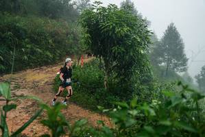 BIB: 
                            <button type="button" onclick="openModal(26380211)" class="btn btn-primary btn-sm float-right btn-popup" data-toggle="modal" data-target=".modal-high-quality">
                        <i class="fas fa-shopping-cart"></i> Add to Cart
                    </button>
                                            <button type="button" onclick="isThisMe(26380211, true)" class="btn btn-success btn-sm float-right btn-popup btn-isme hidden" data-toggle="tooltip" data-placement="bottom" title="นี่คือรูปของคุณใช่ไหม คลิกที่นี่เพื่อเอาเข้าอัลบั้ม">
                        <i class="fas fa-plus"></i> Add to album
                    </button>
                    <button type="button" onclick="isThisMe(26380211, false)" class="btn btn-warning btn-sm float-right btn-popup btn-isnotme hidden">
                        <i class="fas fa-ban"></i> Remove from album
                    </button>