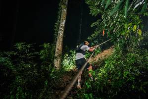 BIB: 
                            <button type="button" onclick="openModal(26374347)" class="btn btn-primary btn-sm float-right btn-popup" data-toggle="modal" data-target=".modal-high-quality">
                        <i class="fas fa-shopping-cart"></i> Add to Cart
                    </button>
                                            <button type="button" onclick="isThisMe(26374347, true)" class="btn btn-success btn-sm float-right btn-popup btn-isme hidden" data-toggle="tooltip" data-placement="bottom" title="นี่คือรูปของคุณใช่ไหม คลิกที่นี่เพื่อเอาเข้าอัลบั้ม">
                        <i class="fas fa-plus"></i> Add to album
                    </button>
                    <button type="button" onclick="isThisMe(26374347, false)" class="btn btn-warning btn-sm float-right btn-popup btn-isnotme hidden">
                        <i class="fas fa-ban"></i> Remove from album
                    </button>