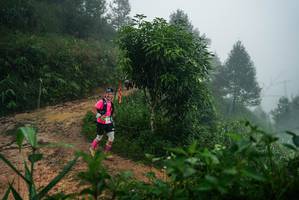 BIB: 
                            <button type="button" onclick="openModal(26380062)" class="btn btn-primary btn-sm float-right btn-popup" data-toggle="modal" data-target=".modal-high-quality">
                        <i class="fas fa-shopping-cart"></i> Add to Cart
                    </button>
                                            <button type="button" onclick="isThisMe(26380062, true)" class="btn btn-success btn-sm float-right btn-popup btn-isme hidden" data-toggle="tooltip" data-placement="bottom" title="นี่คือรูปของคุณใช่ไหม คลิกที่นี่เพื่อเอาเข้าอัลบั้ม">
                        <i class="fas fa-plus"></i> Add to album
                    </button>
                    <button type="button" onclick="isThisMe(26380062, false)" class="btn btn-warning btn-sm float-right btn-popup btn-isnotme hidden">
                        <i class="fas fa-ban"></i> Remove from album
                    </button>