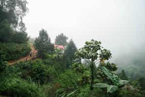 BIB: 
                            <button type="button" onclick="openModal(26386259)" class="btn btn-primary btn-sm float-right btn-popup" data-toggle="modal" data-target=".modal-high-quality">
                        <i class="fas fa-shopping-cart"></i> Add to Cart
                    </button>
                                            <button type="button" onclick="isThisMe(26386259, true)" class="btn btn-success btn-sm float-right btn-popup btn-isme hidden" data-toggle="tooltip" data-placement="bottom" title="นี่คือรูปของคุณใช่ไหม คลิกที่นี่เพื่อเอาเข้าอัลบั้ม">
                        <i class="fas fa-plus"></i> Add to album
                    </button>
                    <button type="button" onclick="isThisMe(26386259, false)" class="btn btn-warning btn-sm float-right btn-popup btn-isnotme hidden">
                        <i class="fas fa-ban"></i> Remove from album
                    </button>