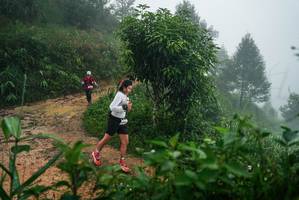 BIB: 
                            <button type="button" onclick="openModal(26380156)" class="btn btn-primary btn-sm float-right btn-popup" data-toggle="modal" data-target=".modal-high-quality">
                        <i class="fas fa-shopping-cart"></i> Add to Cart
                    </button>
                                            <button type="button" onclick="isThisMe(26380156, true)" class="btn btn-success btn-sm float-right btn-popup btn-isme hidden" data-toggle="tooltip" data-placement="bottom" title="นี่คือรูปของคุณใช่ไหม คลิกที่นี่เพื่อเอาเข้าอัลบั้ม">
                        <i class="fas fa-plus"></i> Add to album
                    </button>
                    <button type="button" onclick="isThisMe(26380156, false)" class="btn btn-warning btn-sm float-right btn-popup btn-isnotme hidden">
                        <i class="fas fa-ban"></i> Remove from album
                    </button>