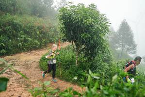 BIB: 
                            <button type="button" onclick="openModal(26384799)" class="btn btn-primary btn-sm float-right btn-popup" data-toggle="modal" data-target=".modal-high-quality">
                        <i class="fas fa-shopping-cart"></i> Add to Cart
                    </button>
                                            <button type="button" onclick="isThisMe(26384799, true)" class="btn btn-success btn-sm float-right btn-popup btn-isme hidden" data-toggle="tooltip" data-placement="bottom" title="นี่คือรูปของคุณใช่ไหม คลิกที่นี่เพื่อเอาเข้าอัลบั้ม">
                        <i class="fas fa-plus"></i> Add to album
                    </button>
                    <button type="button" onclick="isThisMe(26384799, false)" class="btn btn-warning btn-sm float-right btn-popup btn-isnotme hidden">
                        <i class="fas fa-ban"></i> Remove from album
                    </button>