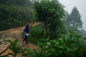 BIB: 
                            <button type="button" onclick="openModal(26379502)" class="btn btn-primary btn-sm float-right btn-popup" data-toggle="modal" data-target=".modal-high-quality">
                        <i class="fas fa-shopping-cart"></i> Add to Cart
                    </button>
                                            <button type="button" onclick="isThisMe(26379502, true)" class="btn btn-success btn-sm float-right btn-popup btn-isme hidden" data-toggle="tooltip" data-placement="bottom" title="นี่คือรูปของคุณใช่ไหม คลิกที่นี่เพื่อเอาเข้าอัลบั้ม">
                        <i class="fas fa-plus"></i> Add to album
                    </button>
                    <button type="button" onclick="isThisMe(26379502, false)" class="btn btn-warning btn-sm float-right btn-popup btn-isnotme hidden">
                        <i class="fas fa-ban"></i> Remove from album
                    </button>