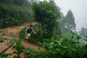 BIB: 
                            <button type="button" onclick="openModal(26380242)" class="btn btn-primary btn-sm float-right btn-popup" data-toggle="modal" data-target=".modal-high-quality">
                        <i class="fas fa-shopping-cart"></i> Add to Cart
                    </button>
                                            <button type="button" onclick="isThisMe(26380242, true)" class="btn btn-success btn-sm float-right btn-popup btn-isme hidden" data-toggle="tooltip" data-placement="bottom" title="นี่คือรูปของคุณใช่ไหม คลิกที่นี่เพื่อเอาเข้าอัลบั้ม">
                        <i class="fas fa-plus"></i> Add to album
                    </button>
                    <button type="button" onclick="isThisMe(26380242, false)" class="btn btn-warning btn-sm float-right btn-popup btn-isnotme hidden">
                        <i class="fas fa-ban"></i> Remove from album
                    </button>