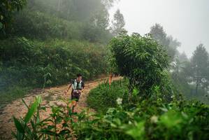 BIB: 
                            <button type="button" onclick="openModal(26377575)" class="btn btn-primary btn-sm float-right btn-popup" data-toggle="modal" data-target=".modal-high-quality">
                        <i class="fas fa-shopping-cart"></i> Add to Cart
                    </button>
                                            <button type="button" onclick="isThisMe(26377575, true)" class="btn btn-success btn-sm float-right btn-popup btn-isme hidden" data-toggle="tooltip" data-placement="bottom" title="นี่คือรูปของคุณใช่ไหม คลิกที่นี่เพื่อเอาเข้าอัลบั้ม">
                        <i class="fas fa-plus"></i> Add to album
                    </button>
                    <button type="button" onclick="isThisMe(26377575, false)" class="btn btn-warning btn-sm float-right btn-popup btn-isnotme hidden">
                        <i class="fas fa-ban"></i> Remove from album
                    </button>