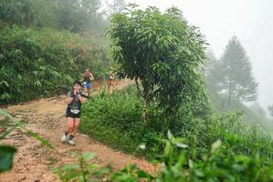 BIB: 
                            <button type="button" onclick="openModal(26384716)" class="btn btn-primary btn-sm float-right btn-popup" data-toggle="modal" data-target=".modal-high-quality">
                        <i class="fas fa-shopping-cart"></i> Add to Cart
                    </button>
                                            <button type="button" onclick="isThisMe(26384716, true)" class="btn btn-success btn-sm float-right btn-popup btn-isme hidden" data-toggle="tooltip" data-placement="bottom" title="นี่คือรูปของคุณใช่ไหม คลิกที่นี่เพื่อเอาเข้าอัลบั้ม">
                        <i class="fas fa-plus"></i> Add to album
                    </button>
                    <button type="button" onclick="isThisMe(26384716, false)" class="btn btn-warning btn-sm float-right btn-popup btn-isnotme hidden">
                        <i class="fas fa-ban"></i> Remove from album
                    </button>