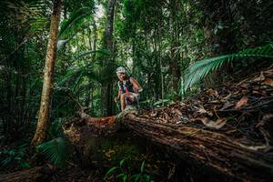 BIB: 
                            <button type="button" onclick="openModal(26426046)" class="btn btn-primary btn-sm float-right btn-popup" data-toggle="modal" data-target=".modal-high-quality">
                        <i class="fas fa-shopping-cart"></i> Add to Cart
                    </button>
                                            <button type="button" onclick="isThisMe(26426046, true)" class="btn btn-success btn-sm float-right btn-popup btn-isme hidden" data-toggle="tooltip" data-placement="bottom" title="นี่คือรูปของคุณใช่ไหม คลิกที่นี่เพื่อเอาเข้าอัลบั้ม">
                        <i class="fas fa-plus"></i> Add to album
                    </button>
                    <button type="button" onclick="isThisMe(26426046, false)" class="btn btn-warning btn-sm float-right btn-popup btn-isnotme hidden">
                        <i class="fas fa-ban"></i> Remove from album
                    </button>