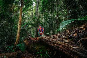 BIB: 
                            <button type="button" onclick="openModal(26425500)" class="btn btn-primary btn-sm float-right btn-popup" data-toggle="modal" data-target=".modal-high-quality">
                        <i class="fas fa-shopping-cart"></i> Add to Cart
                    </button>
                                            <button type="button" onclick="isThisMe(26425500, true)" class="btn btn-success btn-sm float-right btn-popup btn-isme hidden" data-toggle="tooltip" data-placement="bottom" title="นี่คือรูปของคุณใช่ไหม คลิกที่นี่เพื่อเอาเข้าอัลบั้ม">
                        <i class="fas fa-plus"></i> Add to album
                    </button>
                    <button type="button" onclick="isThisMe(26425500, false)" class="btn btn-warning btn-sm float-right btn-popup btn-isnotme hidden">
                        <i class="fas fa-ban"></i> Remove from album
                    </button>