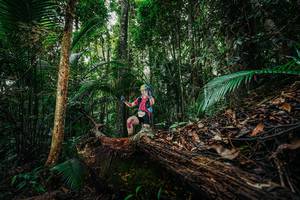 BIB: 
                            <button type="button" onclick="openModal(26425940)" class="btn btn-primary btn-sm float-right btn-popup" data-toggle="modal" data-target=".modal-high-quality">
                        <i class="fas fa-shopping-cart"></i> Add to Cart
                    </button>
                                            <button type="button" onclick="isThisMe(26425940, true)" class="btn btn-success btn-sm float-right btn-popup btn-isme hidden" data-toggle="tooltip" data-placement="bottom" title="นี่คือรูปของคุณใช่ไหม คลิกที่นี่เพื่อเอาเข้าอัลบั้ม">
                        <i class="fas fa-plus"></i> Add to album
                    </button>
                    <button type="button" onclick="isThisMe(26425940, false)" class="btn btn-warning btn-sm float-right btn-popup btn-isnotme hidden">
                        <i class="fas fa-ban"></i> Remove from album
                    </button>