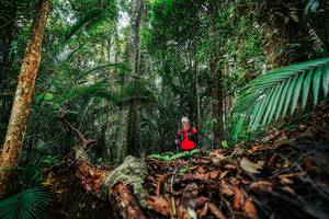 BIB: 
                            <button type="button" onclick="openModal(26423136)" class="btn btn-primary btn-sm float-right btn-popup" data-toggle="modal" data-target=".modal-high-quality">
                        <i class="fas fa-shopping-cart"></i> Add to Cart
                    </button>
                                            <button type="button" onclick="isThisMe(26423136, true)" class="btn btn-success btn-sm float-right btn-popup btn-isme hidden" data-toggle="tooltip" data-placement="bottom" title="นี่คือรูปของคุณใช่ไหม คลิกที่นี่เพื่อเอาเข้าอัลบั้ม">
                        <i class="fas fa-plus"></i> Add to album
                    </button>
                    <button type="button" onclick="isThisMe(26423136, false)" class="btn btn-warning btn-sm float-right btn-popup btn-isnotme hidden">
                        <i class="fas fa-ban"></i> Remove from album
                    </button>