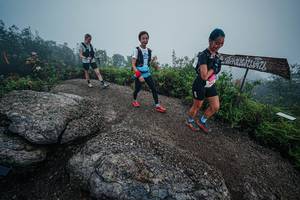 BIB: 
                            <button type="button" onclick="openModal(26418232)" class="btn btn-primary btn-sm float-right btn-popup" data-toggle="modal" data-target=".modal-high-quality">
                        <i class="fas fa-shopping-cart"></i> Add to Cart
                    </button>
                                            <button type="button" onclick="isThisMe(26418232, true)" class="btn btn-success btn-sm float-right btn-popup btn-isme hidden" data-toggle="tooltip" data-placement="bottom" title="นี่คือรูปของคุณใช่ไหม คลิกที่นี่เพื่อเอาเข้าอัลบั้ม">
                        <i class="fas fa-plus"></i> Add to album
                    </button>
                    <button type="button" onclick="isThisMe(26418232, false)" class="btn btn-warning btn-sm float-right btn-popup btn-isnotme hidden">
                        <i class="fas fa-ban"></i> Remove from album
                    </button>