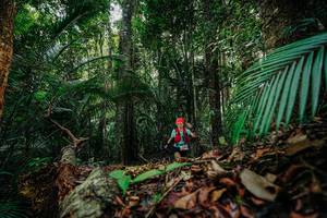 BIB: 
                            <button type="button" onclick="openModal(26424323)" class="btn btn-primary btn-sm float-right btn-popup" data-toggle="modal" data-target=".modal-high-quality">
                        <i class="fas fa-shopping-cart"></i> Add to Cart
                    </button>
                                            <button type="button" onclick="isThisMe(26424323, true)" class="btn btn-success btn-sm float-right btn-popup btn-isme hidden" data-toggle="tooltip" data-placement="bottom" title="นี่คือรูปของคุณใช่ไหม คลิกที่นี่เพื่อเอาเข้าอัลบั้ม">
                        <i class="fas fa-plus"></i> Add to album
                    </button>
                    <button type="button" onclick="isThisMe(26424323, false)" class="btn btn-warning btn-sm float-right btn-popup btn-isnotme hidden">
                        <i class="fas fa-ban"></i> Remove from album
                    </button>