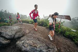 BIB: 
                            <button type="button" onclick="openModal(26420086)" class="btn btn-primary btn-sm float-right btn-popup" data-toggle="modal" data-target=".modal-high-quality">
                        <i class="fas fa-shopping-cart"></i> Add to Cart
                    </button>
                                            <button type="button" onclick="isThisMe(26420086, true)" class="btn btn-success btn-sm float-right btn-popup btn-isme hidden" data-toggle="tooltip" data-placement="bottom" title="นี่คือรูปของคุณใช่ไหม คลิกที่นี่เพื่อเอาเข้าอัลบั้ม">
                        <i class="fas fa-plus"></i> Add to album
                    </button>
                    <button type="button" onclick="isThisMe(26420086, false)" class="btn btn-warning btn-sm float-right btn-popup btn-isnotme hidden">
                        <i class="fas fa-ban"></i> Remove from album
                    </button>