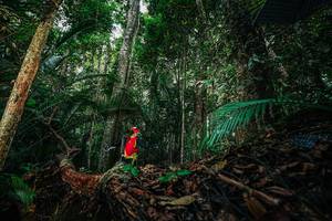 BIB: 
                            <button type="button" onclick="openModal(26432273)" class="btn btn-primary btn-sm float-right btn-popup" data-toggle="modal" data-target=".modal-high-quality">
                        <i class="fas fa-shopping-cart"></i> Add to Cart
                    </button>
                                            <button type="button" onclick="isThisMe(26432273, true)" class="btn btn-success btn-sm float-right btn-popup btn-isme hidden" data-toggle="tooltip" data-placement="bottom" title="นี่คือรูปของคุณใช่ไหม คลิกที่นี่เพื่อเอาเข้าอัลบั้ม">
                        <i class="fas fa-plus"></i> Add to album
                    </button>
                    <button type="button" onclick="isThisMe(26432273, false)" class="btn btn-warning btn-sm float-right btn-popup btn-isnotme hidden">
                        <i class="fas fa-ban"></i> Remove from album
                    </button>