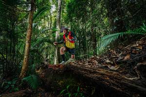 BIB: 
                            <button type="button" onclick="openModal(26425772)" class="btn btn-primary btn-sm float-right btn-popup" data-toggle="modal" data-target=".modal-high-quality">
                        <i class="fas fa-shopping-cart"></i> Add to Cart
                    </button>
                                            <button type="button" onclick="isThisMe(26425772, true)" class="btn btn-success btn-sm float-right btn-popup btn-isme hidden" data-toggle="tooltip" data-placement="bottom" title="นี่คือรูปของคุณใช่ไหม คลิกที่นี่เพื่อเอาเข้าอัลบั้ม">
                        <i class="fas fa-plus"></i> Add to album
                    </button>
                    <button type="button" onclick="isThisMe(26425772, false)" class="btn btn-warning btn-sm float-right btn-popup btn-isnotme hidden">
                        <i class="fas fa-ban"></i> Remove from album
                    </button>