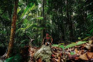 BIB: 
                            <button type="button" onclick="openModal(26423205)" class="btn btn-primary btn-sm float-right btn-popup" data-toggle="modal" data-target=".modal-high-quality">
                        <i class="fas fa-shopping-cart"></i> Add to Cart
                    </button>
                                            <button type="button" onclick="isThisMe(26423205, true)" class="btn btn-success btn-sm float-right btn-popup btn-isme hidden" data-toggle="tooltip" data-placement="bottom" title="นี่คือรูปของคุณใช่ไหม คลิกที่นี่เพื่อเอาเข้าอัลบั้ม">
                        <i class="fas fa-plus"></i> Add to album
                    </button>
                    <button type="button" onclick="isThisMe(26423205, false)" class="btn btn-warning btn-sm float-right btn-popup btn-isnotme hidden">
                        <i class="fas fa-ban"></i> Remove from album
                    </button>