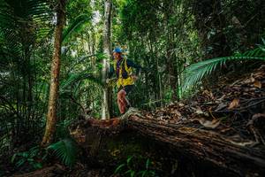 BIB: 
                            <button type="button" onclick="openModal(26425799)" class="btn btn-primary btn-sm float-right btn-popup" data-toggle="modal" data-target=".modal-high-quality">
                        <i class="fas fa-shopping-cart"></i> Add to Cart
                    </button>
                                            <button type="button" onclick="isThisMe(26425799, true)" class="btn btn-success btn-sm float-right btn-popup btn-isme hidden" data-toggle="tooltip" data-placement="bottom" title="นี่คือรูปของคุณใช่ไหม คลิกที่นี่เพื่อเอาเข้าอัลบั้ม">
                        <i class="fas fa-plus"></i> Add to album
                    </button>
                    <button type="button" onclick="isThisMe(26425799, false)" class="btn btn-warning btn-sm float-right btn-popup btn-isnotme hidden">
                        <i class="fas fa-ban"></i> Remove from album
                    </button>