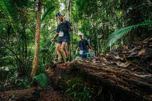 BIB: 
                            <button type="button" onclick="openModal(26424890)" class="btn btn-primary btn-sm float-right btn-popup" data-toggle="modal" data-target=".modal-high-quality">
                        <i class="fas fa-shopping-cart"></i> Add to Cart
                    </button>
                                            <button type="button" onclick="isThisMe(26424890, true)" class="btn btn-success btn-sm float-right btn-popup btn-isme hidden" data-toggle="tooltip" data-placement="bottom" title="นี่คือรูปของคุณใช่ไหม คลิกที่นี่เพื่อเอาเข้าอัลบั้ม">
                        <i class="fas fa-plus"></i> Add to album
                    </button>
                    <button type="button" onclick="isThisMe(26424890, false)" class="btn btn-warning btn-sm float-right btn-popup btn-isnotme hidden">
                        <i class="fas fa-ban"></i> Remove from album
                    </button>