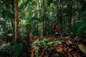 BIB: 
                            <button type="button" onclick="openModal(26424565)" class="btn btn-primary btn-sm float-right btn-popup" data-toggle="modal" data-target=".modal-high-quality">
                        <i class="fas fa-shopping-cart"></i> Add to Cart
                    </button>
                                            <button type="button" onclick="isThisMe(26424565, true)" class="btn btn-success btn-sm float-right btn-popup btn-isme hidden" data-toggle="tooltip" data-placement="bottom" title="นี่คือรูปของคุณใช่ไหม คลิกที่นี่เพื่อเอาเข้าอัลบั้ม">
                        <i class="fas fa-plus"></i> Add to album
                    </button>
                    <button type="button" onclick="isThisMe(26424565, false)" class="btn btn-warning btn-sm float-right btn-popup btn-isnotme hidden">
                        <i class="fas fa-ban"></i> Remove from album
                    </button>