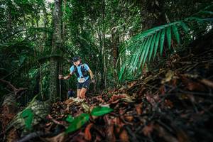 BIB: 
                            <button type="button" onclick="openModal(26430988)" class="btn btn-primary btn-sm float-right btn-popup" data-toggle="modal" data-target=".modal-high-quality">
                        <i class="fas fa-shopping-cart"></i> Add to Cart
                    </button>
                                            <button type="button" onclick="isThisMe(26430988, true)" class="btn btn-success btn-sm float-right btn-popup btn-isme hidden" data-toggle="tooltip" data-placement="bottom" title="นี่คือรูปของคุณใช่ไหม คลิกที่นี่เพื่อเอาเข้าอัลบั้ม">
                        <i class="fas fa-plus"></i> Add to album
                    </button>
                    <button type="button" onclick="isThisMe(26430988, false)" class="btn btn-warning btn-sm float-right btn-popup btn-isnotme hidden">
                        <i class="fas fa-ban"></i> Remove from album
                    </button>