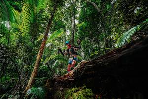 BIB: 
                            <button type="button" onclick="openModal(26422637)" class="btn btn-primary btn-sm float-right btn-popup" data-toggle="modal" data-target=".modal-high-quality">
                        <i class="fas fa-shopping-cart"></i> Add to Cart
                    </button>
                                            <button type="button" onclick="isThisMe(26422637, true)" class="btn btn-success btn-sm float-right btn-popup btn-isme hidden" data-toggle="tooltip" data-placement="bottom" title="นี่คือรูปของคุณใช่ไหม คลิกที่นี่เพื่อเอาเข้าอัลบั้ม">
                        <i class="fas fa-plus"></i> Add to album
                    </button>
                    <button type="button" onclick="isThisMe(26422637, false)" class="btn btn-warning btn-sm float-right btn-popup btn-isnotme hidden">
                        <i class="fas fa-ban"></i> Remove from album
                    </button>