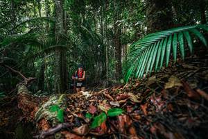 BIB: 
                            <button type="button" onclick="openModal(26430014)" class="btn btn-primary btn-sm float-right btn-popup" data-toggle="modal" data-target=".modal-high-quality">
                        <i class="fas fa-shopping-cart"></i> Add to Cart
                    </button>
                                            <button type="button" onclick="isThisMe(26430014, true)" class="btn btn-success btn-sm float-right btn-popup btn-isme hidden" data-toggle="tooltip" data-placement="bottom" title="นี่คือรูปของคุณใช่ไหม คลิกที่นี่เพื่อเอาเข้าอัลบั้ม">
                        <i class="fas fa-plus"></i> Add to album
                    </button>
                    <button type="button" onclick="isThisMe(26430014, false)" class="btn btn-warning btn-sm float-right btn-popup btn-isnotme hidden">
                        <i class="fas fa-ban"></i> Remove from album
                    </button>