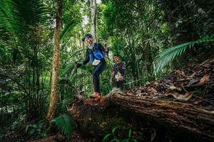 BIB: 
                            <button type="button" onclick="openModal(26425137)" class="btn btn-primary btn-sm float-right btn-popup" data-toggle="modal" data-target=".modal-high-quality">
                        <i class="fas fa-shopping-cart"></i> Add to Cart
                    </button>
                                            <button type="button" onclick="isThisMe(26425137, true)" class="btn btn-success btn-sm float-right btn-popup btn-isme hidden" data-toggle="tooltip" data-placement="bottom" title="นี่คือรูปของคุณใช่ไหม คลิกที่นี่เพื่อเอาเข้าอัลบั้ม">
                        <i class="fas fa-plus"></i> Add to album
                    </button>
                    <button type="button" onclick="isThisMe(26425137, false)" class="btn btn-warning btn-sm float-right btn-popup btn-isnotme hidden">
                        <i class="fas fa-ban"></i> Remove from album
                    </button>