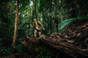 BIB: 
                            <button type="button" onclick="openModal(26425873)" class="btn btn-primary btn-sm float-right btn-popup" data-toggle="modal" data-target=".modal-high-quality">
                        <i class="fas fa-shopping-cart"></i> Add to Cart
                    </button>
                                            <button type="button" onclick="isThisMe(26425873, true)" class="btn btn-success btn-sm float-right btn-popup btn-isme hidden" data-toggle="tooltip" data-placement="bottom" title="นี่คือรูปของคุณใช่ไหม คลิกที่นี่เพื่อเอาเข้าอัลบั้ม">
                        <i class="fas fa-plus"></i> Add to album
                    </button>
                    <button type="button" onclick="isThisMe(26425873, false)" class="btn btn-warning btn-sm float-right btn-popup btn-isnotme hidden">
                        <i class="fas fa-ban"></i> Remove from album
                    </button>