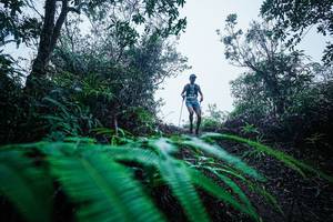 BIB: 
                            <button type="button" onclick="openModal(26416812)" class="btn btn-primary btn-sm float-right btn-popup" data-toggle="modal" data-target=".modal-high-quality">
                        <i class="fas fa-shopping-cart"></i> Add to Cart
                    </button>
                                            <button type="button" onclick="isThisMe(26416812, true)" class="btn btn-success btn-sm float-right btn-popup btn-isme hidden" data-toggle="tooltip" data-placement="bottom" title="นี่คือรูปของคุณใช่ไหม คลิกที่นี่เพื่อเอาเข้าอัลบั้ม">
                        <i class="fas fa-plus"></i> Add to album
                    </button>
                    <button type="button" onclick="isThisMe(26416812, false)" class="btn btn-warning btn-sm float-right btn-popup btn-isnotme hidden">
                        <i class="fas fa-ban"></i> Remove from album
                    </button>