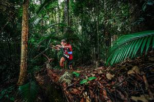 BIB: 
                            <button type="button" onclick="openModal(26426983)" class="btn btn-primary btn-sm float-right btn-popup" data-toggle="modal" data-target=".modal-high-quality">
                        <i class="fas fa-shopping-cart"></i> Add to Cart
                    </button>
                                            <button type="button" onclick="isThisMe(26426983, true)" class="btn btn-success btn-sm float-right btn-popup btn-isme hidden" data-toggle="tooltip" data-placement="bottom" title="นี่คือรูปของคุณใช่ไหม คลิกที่นี่เพื่อเอาเข้าอัลบั้ม">
                        <i class="fas fa-plus"></i> Add to album
                    </button>
                    <button type="button" onclick="isThisMe(26426983, false)" class="btn btn-warning btn-sm float-right btn-popup btn-isnotme hidden">
                        <i class="fas fa-ban"></i> Remove from album
                    </button>