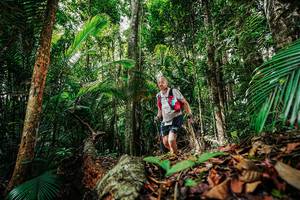 BIB: 
                            <button type="button" onclick="openModal(26421634)" class="btn btn-primary btn-sm float-right btn-popup" data-toggle="modal" data-target=".modal-high-quality">
                        <i class="fas fa-shopping-cart"></i> Add to Cart
                    </button>
                                            <button type="button" onclick="isThisMe(26421634, true)" class="btn btn-success btn-sm float-right btn-popup btn-isme hidden" data-toggle="tooltip" data-placement="bottom" title="นี่คือรูปของคุณใช่ไหม คลิกที่นี่เพื่อเอาเข้าอัลบั้ม">
                        <i class="fas fa-plus"></i> Add to album
                    </button>
                    <button type="button" onclick="isThisMe(26421634, false)" class="btn btn-warning btn-sm float-right btn-popup btn-isnotme hidden">
                        <i class="fas fa-ban"></i> Remove from album
                    </button>