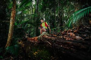 BIB: 
                            <button type="button" onclick="openModal(26423713)" class="btn btn-primary btn-sm float-right btn-popup" data-toggle="modal" data-target=".modal-high-quality">
                        <i class="fas fa-shopping-cart"></i> Add to Cart
                    </button>
                                            <button type="button" onclick="isThisMe(26423713, true)" class="btn btn-success btn-sm float-right btn-popup btn-isme hidden" data-toggle="tooltip" data-placement="bottom" title="นี่คือรูปของคุณใช่ไหม คลิกที่นี่เพื่อเอาเข้าอัลบั้ม">
                        <i class="fas fa-plus"></i> Add to album
                    </button>
                    <button type="button" onclick="isThisMe(26423713, false)" class="btn btn-warning btn-sm float-right btn-popup btn-isnotme hidden">
                        <i class="fas fa-ban"></i> Remove from album
                    </button>