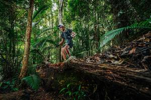 BIB: 
                            <button type="button" onclick="openModal(26424848)" class="btn btn-primary btn-sm float-right btn-popup" data-toggle="modal" data-target=".modal-high-quality">
                        <i class="fas fa-shopping-cart"></i> Add to Cart
                    </button>
                                            <button type="button" onclick="isThisMe(26424848, true)" class="btn btn-success btn-sm float-right btn-popup btn-isme hidden" data-toggle="tooltip" data-placement="bottom" title="นี่คือรูปของคุณใช่ไหม คลิกที่นี่เพื่อเอาเข้าอัลบั้ม">
                        <i class="fas fa-plus"></i> Add to album
                    </button>
                    <button type="button" onclick="isThisMe(26424848, false)" class="btn btn-warning btn-sm float-right btn-popup btn-isnotme hidden">
                        <i class="fas fa-ban"></i> Remove from album
                    </button>