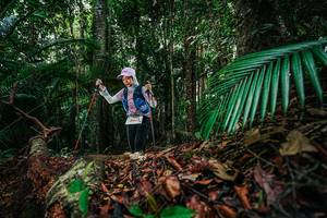 BIB: 
                            <button type="button" onclick="openModal(26429064)" class="btn btn-primary btn-sm float-right btn-popup" data-toggle="modal" data-target=".modal-high-quality">
                        <i class="fas fa-shopping-cart"></i> Add to Cart
                    </button>
                                            <button type="button" onclick="isThisMe(26429064, true)" class="btn btn-success btn-sm float-right btn-popup btn-isme hidden" data-toggle="tooltip" data-placement="bottom" title="นี่คือรูปของคุณใช่ไหม คลิกที่นี่เพื่อเอาเข้าอัลบั้ม">
                        <i class="fas fa-plus"></i> Add to album
                    </button>
                    <button type="button" onclick="isThisMe(26429064, false)" class="btn btn-warning btn-sm float-right btn-popup btn-isnotme hidden">
                        <i class="fas fa-ban"></i> Remove from album
                    </button>