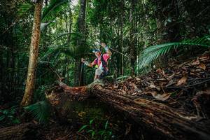 BIB: 
                            <button type="button" onclick="openModal(26426062)" class="btn btn-primary btn-sm float-right btn-popup" data-toggle="modal" data-target=".modal-high-quality">
                        <i class="fas fa-shopping-cart"></i> Add to Cart
                    </button>
                                            <button type="button" onclick="isThisMe(26426062, true)" class="btn btn-success btn-sm float-right btn-popup btn-isme hidden" data-toggle="tooltip" data-placement="bottom" title="นี่คือรูปของคุณใช่ไหม คลิกที่นี่เพื่อเอาเข้าอัลบั้ม">
                        <i class="fas fa-plus"></i> Add to album
                    </button>
                    <button type="button" onclick="isThisMe(26426062, false)" class="btn btn-warning btn-sm float-right btn-popup btn-isnotme hidden">
                        <i class="fas fa-ban"></i> Remove from album
                    </button>