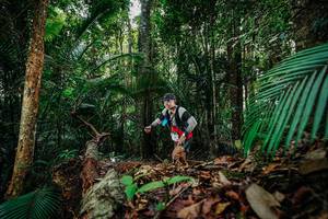 BIB: 
                            <button type="button" onclick="openModal(26424357)" class="btn btn-primary btn-sm float-right btn-popup" data-toggle="modal" data-target=".modal-high-quality">
                        <i class="fas fa-shopping-cart"></i> Add to Cart
                    </button>
                                            <button type="button" onclick="isThisMe(26424357, true)" class="btn btn-success btn-sm float-right btn-popup btn-isme hidden" data-toggle="tooltip" data-placement="bottom" title="นี่คือรูปของคุณใช่ไหม คลิกที่นี่เพื่อเอาเข้าอัลบั้ม">
                        <i class="fas fa-plus"></i> Add to album
                    </button>
                    <button type="button" onclick="isThisMe(26424357, false)" class="btn btn-warning btn-sm float-right btn-popup btn-isnotme hidden">
                        <i class="fas fa-ban"></i> Remove from album
                    </button>