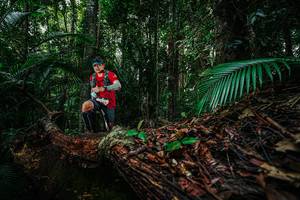 BIB: 
                            <button type="button" onclick="openModal(26427595)" class="btn btn-primary btn-sm float-right btn-popup" data-toggle="modal" data-target=".modal-high-quality">
                        <i class="fas fa-shopping-cart"></i> Add to Cart
                    </button>
                                            <button type="button" onclick="isThisMe(26427595, true)" class="btn btn-success btn-sm float-right btn-popup btn-isme hidden" data-toggle="tooltip" data-placement="bottom" title="นี่คือรูปของคุณใช่ไหม คลิกที่นี่เพื่อเอาเข้าอัลบั้ม">
                        <i class="fas fa-plus"></i> Add to album
                    </button>
                    <button type="button" onclick="isThisMe(26427595, false)" class="btn btn-warning btn-sm float-right btn-popup btn-isnotme hidden">
                        <i class="fas fa-ban"></i> Remove from album
                    </button>