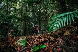 BIB: 
                            <button type="button" onclick="openModal(26427477)" class="btn btn-primary btn-sm float-right btn-popup" data-toggle="modal" data-target=".modal-high-quality">
                        <i class="fas fa-shopping-cart"></i> Add to Cart
                    </button>
                                            <button type="button" onclick="isThisMe(26427477, true)" class="btn btn-success btn-sm float-right btn-popup btn-isme hidden" data-toggle="tooltip" data-placement="bottom" title="นี่คือรูปของคุณใช่ไหม คลิกที่นี่เพื่อเอาเข้าอัลบั้ม">
                        <i class="fas fa-plus"></i> Add to album
                    </button>
                    <button type="button" onclick="isThisMe(26427477, false)" class="btn btn-warning btn-sm float-right btn-popup btn-isnotme hidden">
                        <i class="fas fa-ban"></i> Remove from album
                    </button>