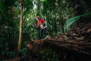 BIB: 
                            <button type="button" onclick="openModal(26426097)" class="btn btn-primary btn-sm float-right btn-popup" data-toggle="modal" data-target=".modal-high-quality">
                        <i class="fas fa-shopping-cart"></i> Add to Cart
                    </button>
                                            <button type="button" onclick="isThisMe(26426097, true)" class="btn btn-success btn-sm float-right btn-popup btn-isme hidden" data-toggle="tooltip" data-placement="bottom" title="นี่คือรูปของคุณใช่ไหม คลิกที่นี่เพื่อเอาเข้าอัลบั้ม">
                        <i class="fas fa-plus"></i> Add to album
                    </button>
                    <button type="button" onclick="isThisMe(26426097, false)" class="btn btn-warning btn-sm float-right btn-popup btn-isnotme hidden">
                        <i class="fas fa-ban"></i> Remove from album
                    </button>