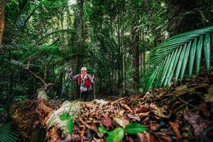 BIB: 
                            <button type="button" onclick="openModal(26429851)" class="btn btn-primary btn-sm float-right btn-popup" data-toggle="modal" data-target=".modal-high-quality">
                        <i class="fas fa-shopping-cart"></i> Add to Cart
                    </button>
                                            <button type="button" onclick="isThisMe(26429851, true)" class="btn btn-success btn-sm float-right btn-popup btn-isme hidden" data-toggle="tooltip" data-placement="bottom" title="นี่คือรูปของคุณใช่ไหม คลิกที่นี่เพื่อเอาเข้าอัลบั้ม">
                        <i class="fas fa-plus"></i> Add to album
                    </button>
                    <button type="button" onclick="isThisMe(26429851, false)" class="btn btn-warning btn-sm float-right btn-popup btn-isnotme hidden">
                        <i class="fas fa-ban"></i> Remove from album
                    </button>