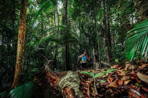 BIB: 
                            <button type="button" onclick="openModal(26421938)" class="btn btn-primary btn-sm float-right btn-popup" data-toggle="modal" data-target=".modal-high-quality">
                        <i class="fas fa-shopping-cart"></i> Add to Cart
                    </button>
                                            <button type="button" onclick="isThisMe(26421938, true)" class="btn btn-success btn-sm float-right btn-popup btn-isme hidden" data-toggle="tooltip" data-placement="bottom" title="นี่คือรูปของคุณใช่ไหม คลิกที่นี่เพื่อเอาเข้าอัลบั้ม">
                        <i class="fas fa-plus"></i> Add to album
                    </button>
                    <button type="button" onclick="isThisMe(26421938, false)" class="btn btn-warning btn-sm float-right btn-popup btn-isnotme hidden">
                        <i class="fas fa-ban"></i> Remove from album
                    </button>